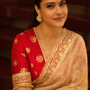 Women's net saree