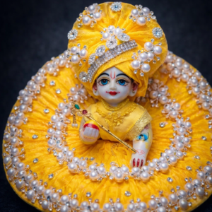 Beutiful laddu gopal dears