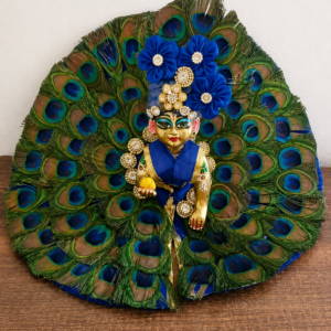 Fancy laddu gopal dress