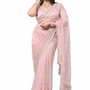 Beutiful stylish saree
