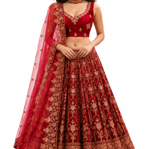 Premium women lehenga choli set