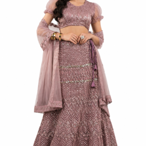 Beutiful party wear lehenga choli set